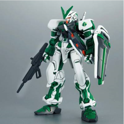 HG GUNDAM ASTRAY GREEN FRAME (TROJAN NOIRET CUSTOM) : MBF-P04